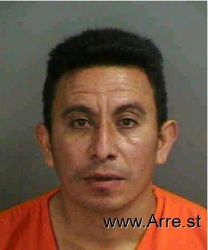 Jose Abel Borrayohernandez Mugshot