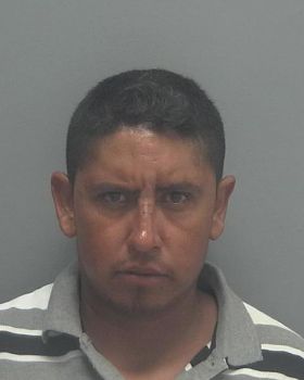 Jose Luis Duarte-martinez Mugshot