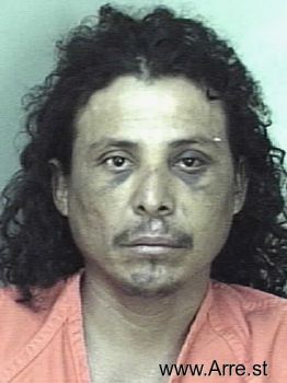 Jose  Gallegos Mugshot