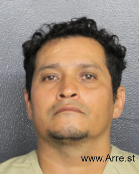 Jose Transito Hernandez-martinez Mugshot