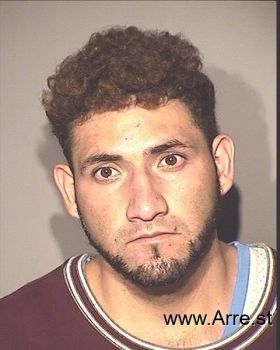 Jose David Ibarra-robles Mugshot