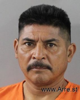 Jose Angle Mejia-hernandez Mugshot