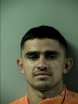 Jose Alduvi Mejia Villeda Mugshot