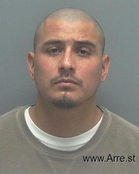 Jose Juan Patino-salinas Mugshot