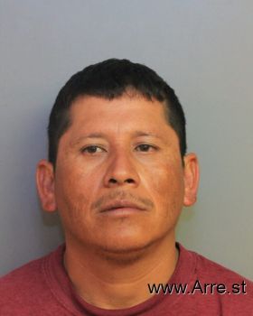 Jose  Rosales-renteria Mugshot