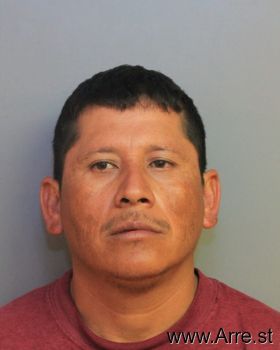 Jose  Rosales-renteria Mugshot