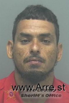 Jose  Rosario Jr Mugshot