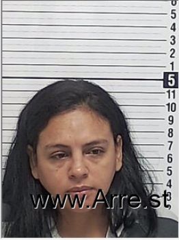 Joselyn  Hidalgo Mugshot