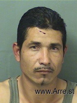 Joseph  Gonzalez Mugshot