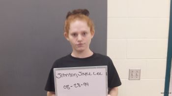 Joyce Lee Johnson Mugshot