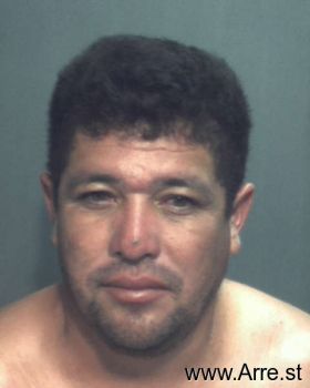 Juan Carlos Mejiaflores Mugshot