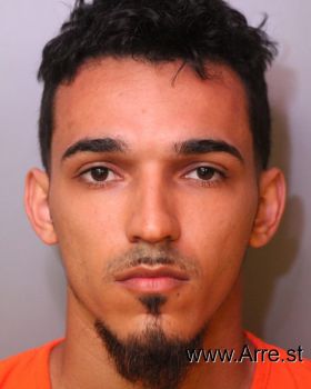 Juan Manuel  Santana Jr Mugshot