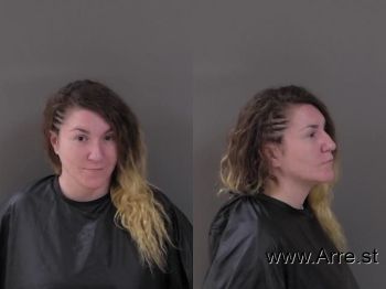 Julia Lin Lederer Mugshot