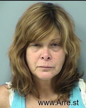 Julie Ann Nelson Mugshot