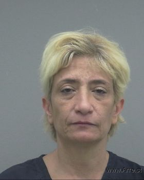 Julie Marie Williams Mugshot