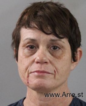 Julie Ann Willis Mugshot