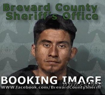 Julio Enrigue Cardona Mugshot