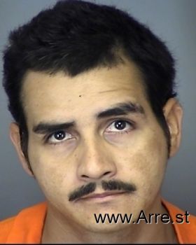 Julio Jr Chavez Mugshot