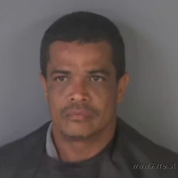 Julio  Echevarria Irizarry Mugshot