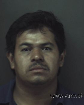 Julio Ernesto Hernandez-soliz Mugshot