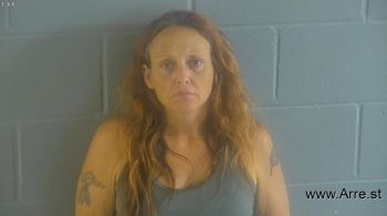 Karen Ann Davis Clark Mugshot