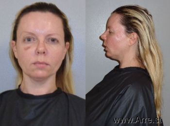 Karen  Wilson Mugshot