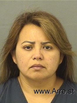 Karina Leticia Reyes Mugshot