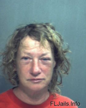 Kimberly J Laskerrnovak   Mugshot