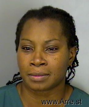 Karen Ann Johnson Mugshot