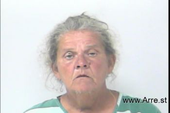 Karen Sue Vanhoten Mugshot