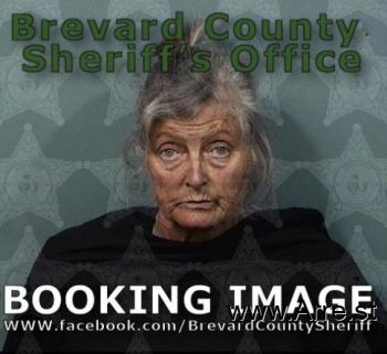 Karen Marie Waddell Mugshot