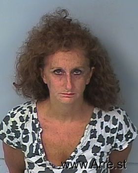 Karen Mazza Wray Mugshot