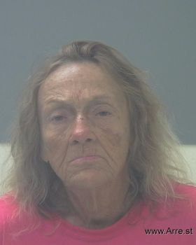 Kathryn Lou Wilkins Mugshot