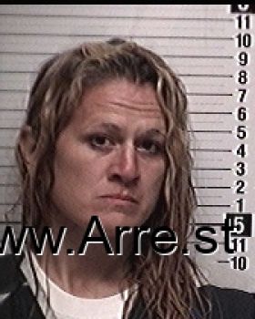 Kelly Ann Jenkins Mugshot