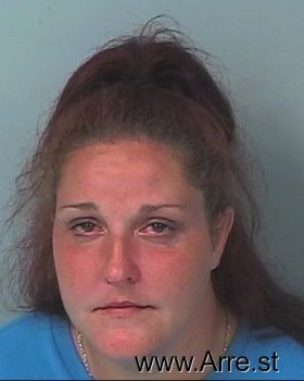 Kelly Ann Morrissette Mugshot