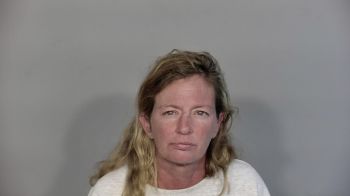 Kelly Lynn Nesbit Mugshot