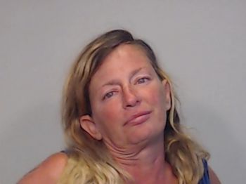 Kelly Lynn Nesbit Mugshot