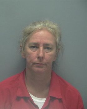 Kelly Ann Nichols Mugshot