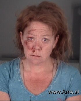 Kelly Ann Snyder Mugshot