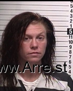 Kimberly Anne Clements Mugshot