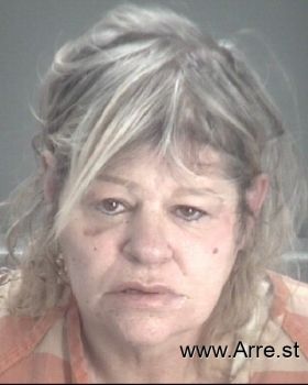 Kimberly Ann Emmerich Mugshot