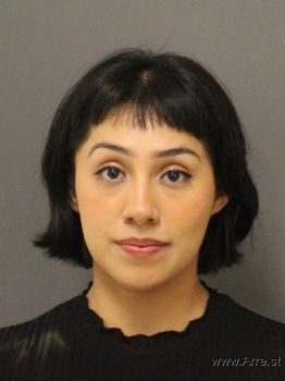 Kimberly  Guzmanlijeron Mugshot