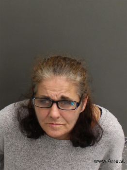 Kimberly Ann Scruggs Mugshot