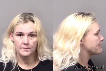 Licia Ilene Holt Mugshot