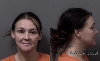 Licia Ilene Holt Mugshot