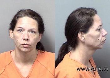 Lisa Michelle Boese Mugshot