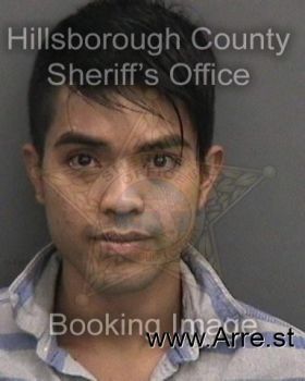 Long Thanh Tran Mugshot