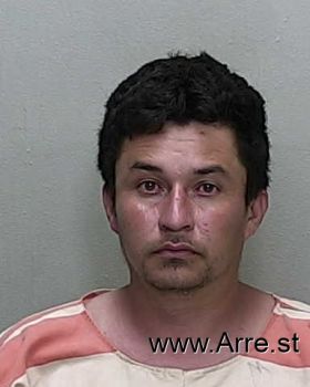 Nelson Antonio Lopez-romero Mugshot