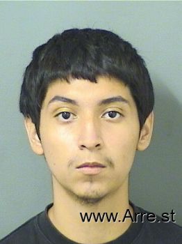 Luis Gerardo Acevedocastillo Mugshot