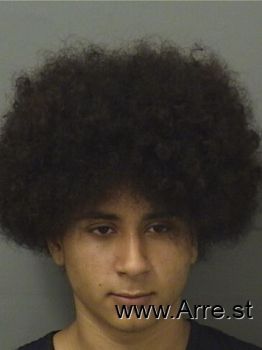 Luis Felipe Alvaradotorres Mugshot